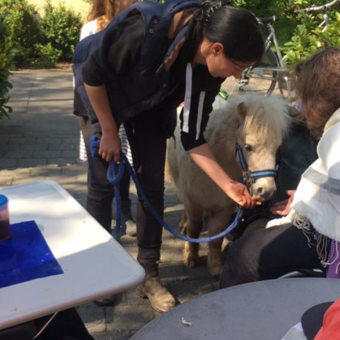 Pony im Altenheim Senioren begeistern
